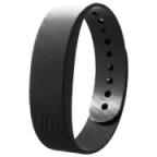 One Dawn Band